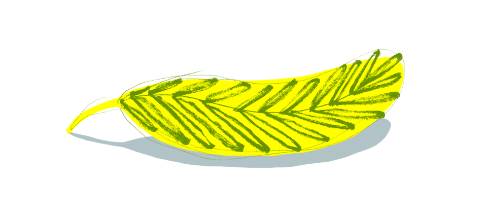 TEMA_Kjønnsbedraget (2)