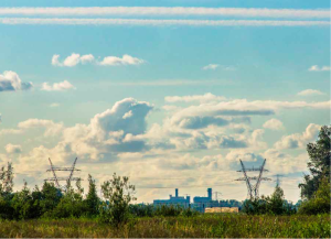 View from the Naardermeer wetlands area in the Netherlands.