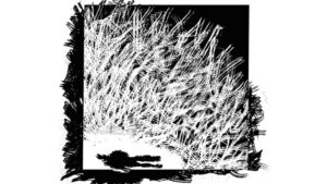 Illustrasjon: Oda Sundgot