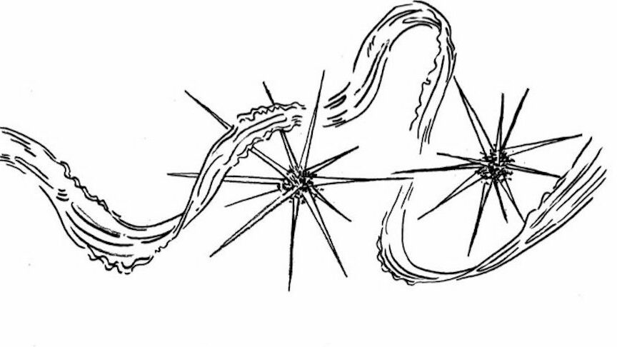 Illustrasjon: Hanne Tingleff